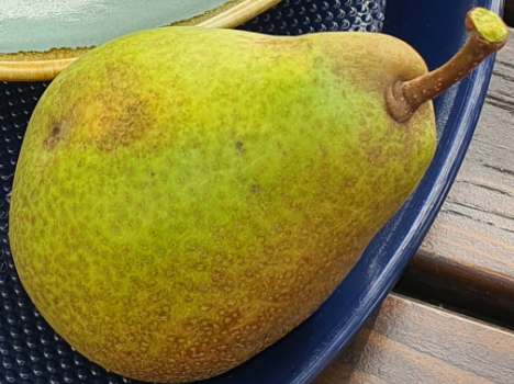 Rast #008 – Off&nbsp;Island