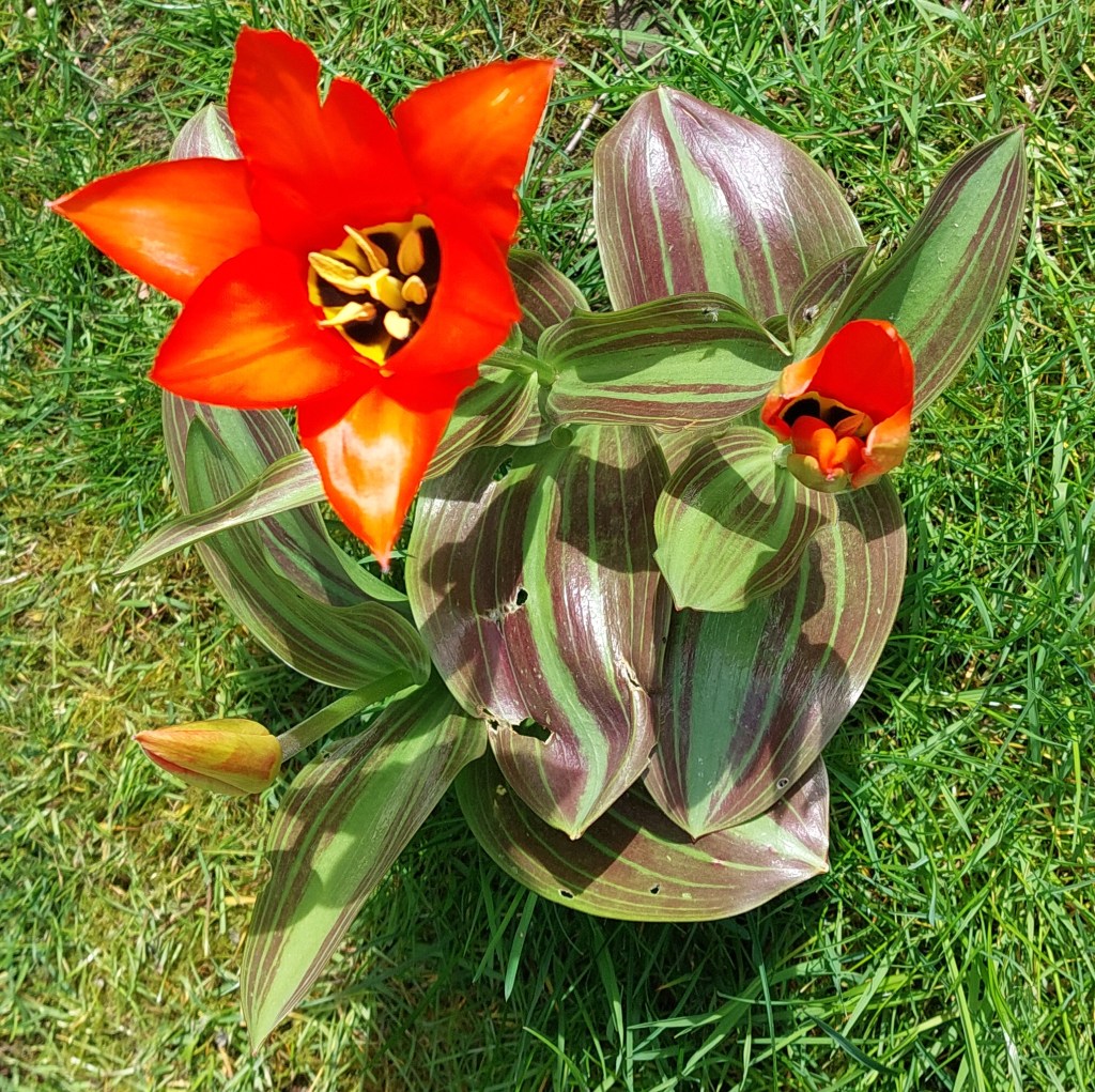 Le Mans 2023&nbsp;-5