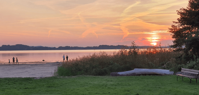 Rast #004 –&nbsp;Braunkohle