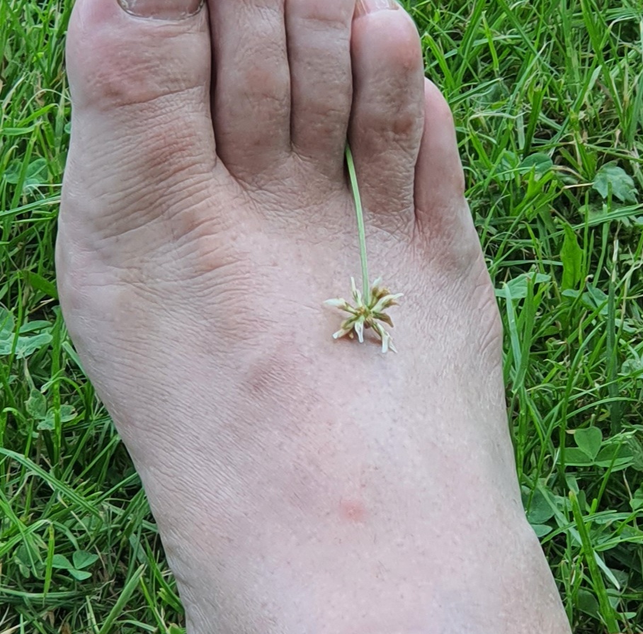 D-Tour #8 „Asphalt“