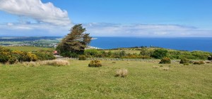Elven Glen from above the Track